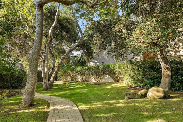 59 Seaview Dr, Santa Barbara, CA 93108 - photo 28