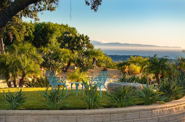 view of water feature