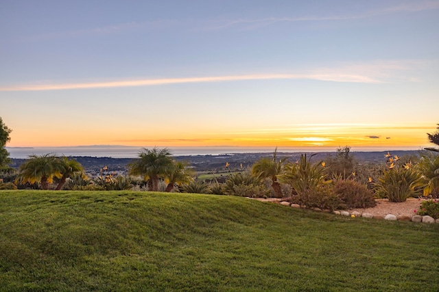 view of yard at dusk