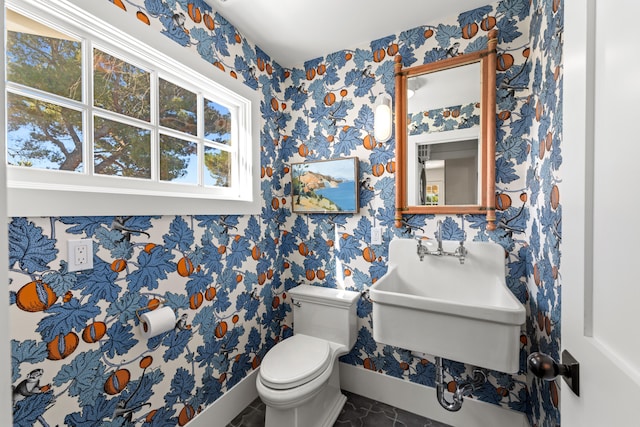 bathroom with toilet and sink