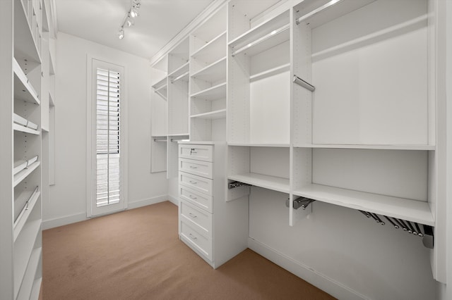 71 Seaview Dr, Santa Barbara, CA 93108 - spacious closet with light carpet