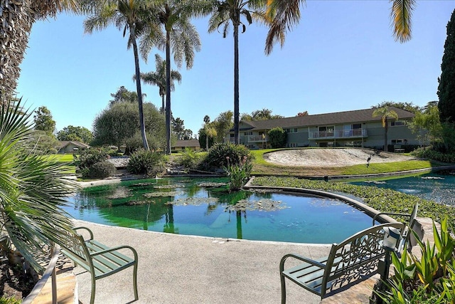 view of swimming pool