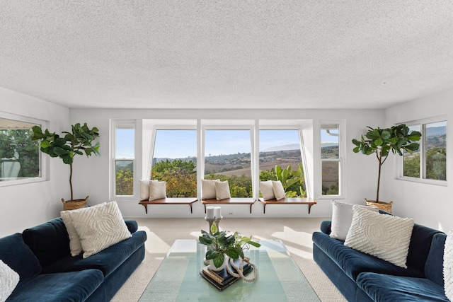 carpeted living room featuring a textured ceiling