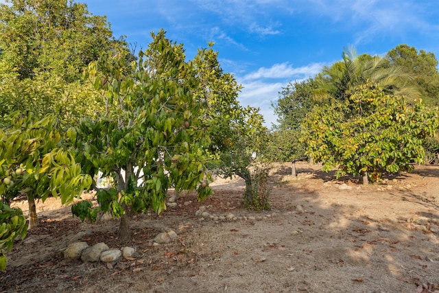 view of landscape featuring a rural view