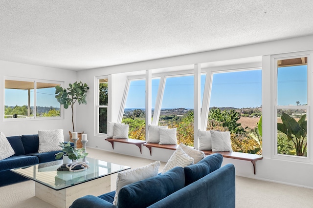 living room featuring carpet and a textured ceiling