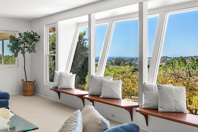 3919 Antone Rd, Santa Barbara, CA 93110 - photo 7