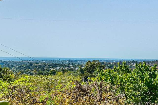 view of mountain feature