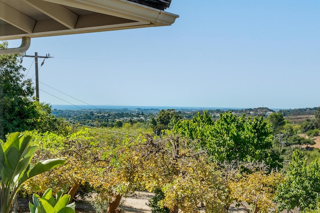 3919 Antone Rd, Santa Barbara, CA 93110 - photo 41