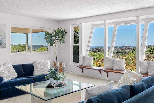 living room with a textured ceiling and carpet floors