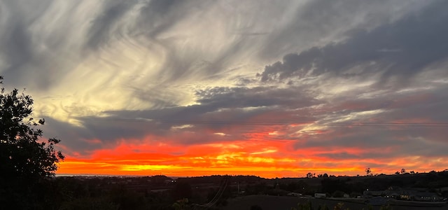 view of nature at dusk