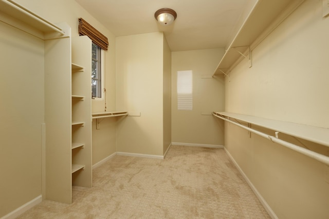 walk in closet with light colored carpet