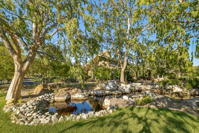 7351 Happy Canyon Rd, Santa Ynez, CA 93460 - photo 8