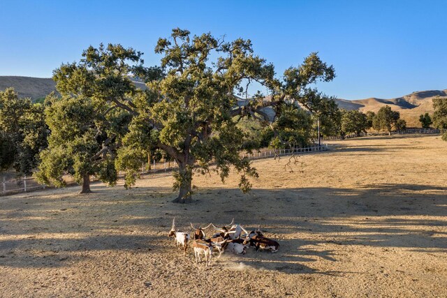 7351 Happy Canyon Rd, Santa Ynez, CA 93460 - photo 35