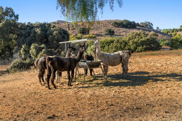 7351 Happy Canyon Rd, Santa Ynez, CA 93460 - photo 43