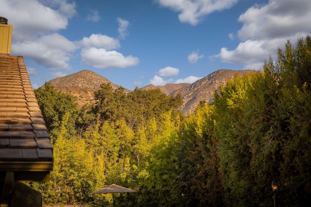 view of mountain feature