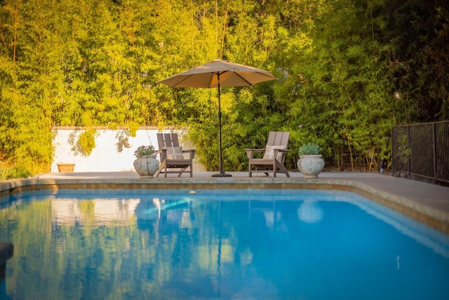 view of swimming pool featuring a patio