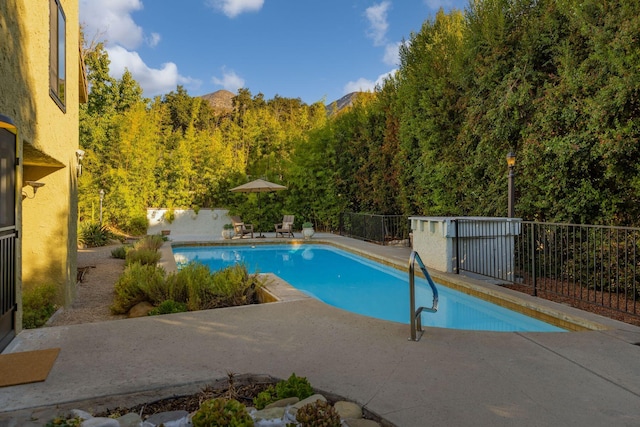 view of pool featuring a patio