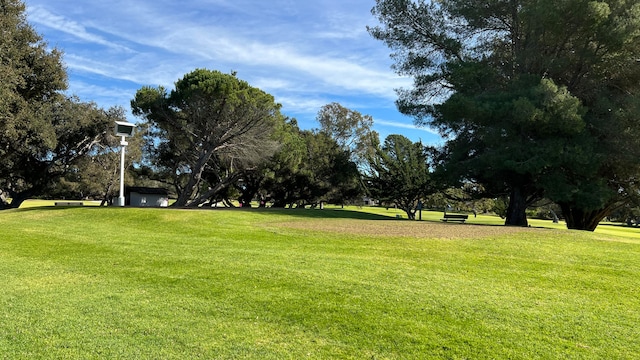 view of community featuring a lawn