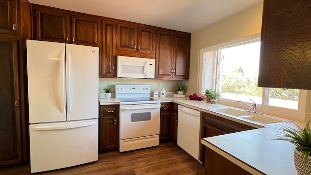 kitchen with white appliances, sink, and dark hardwood / wood-style flooring