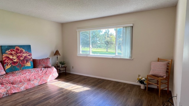 sitting room with dark wood-type flooring and a textured ceiling