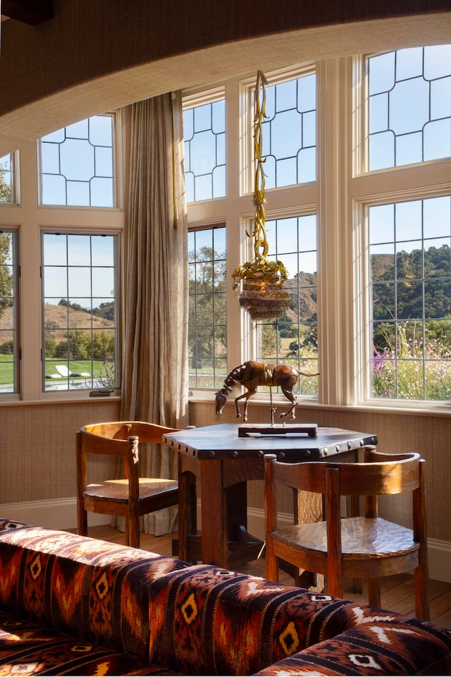 dining space with plenty of natural light, a mountain view, and wood-type flooring