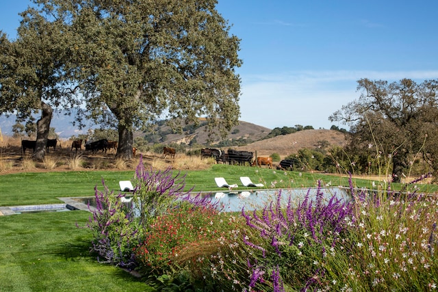 surrounding community with a mountain view, a rural view, and a yard