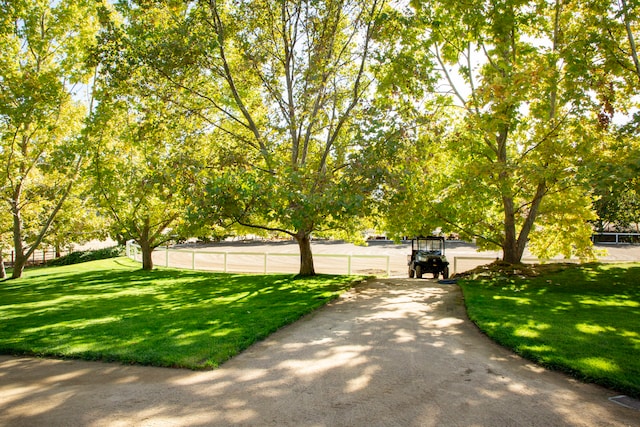 view of community featuring a yard