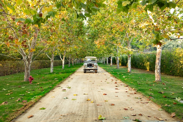 surrounding community featuring a yard