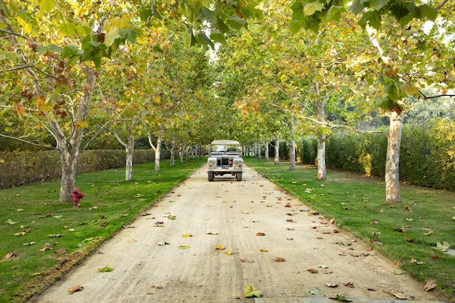 5200 Armour Ranch Rd, Santa Ynez, CA 93460 - view of property's community featuring a lawn