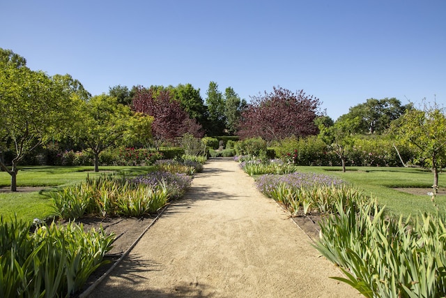 surrounding community featuring a lawn