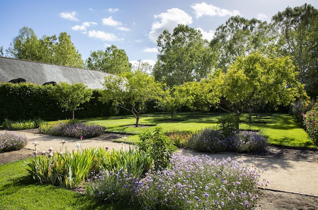 surrounding community with a lawn