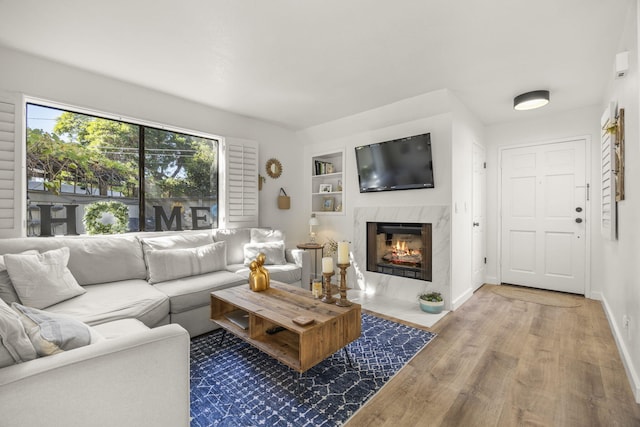 living room featuring wood-type flooring and a premium fireplace