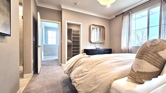 carpeted bedroom with crown molding and a closet