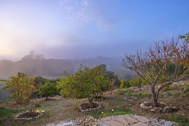 view of nature at dusk