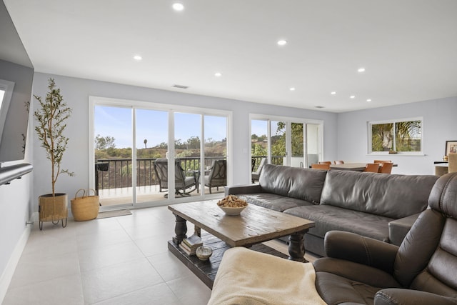 living room with a wealth of natural light