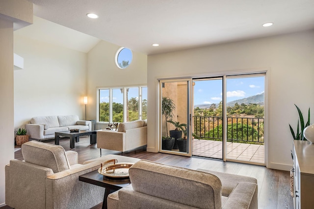 living room with a mountain view, hardwood / wood-style floors, and a healthy amount of sunlight