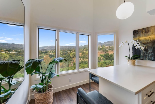 home office featuring a mountain view and dark hardwood / wood-style floors