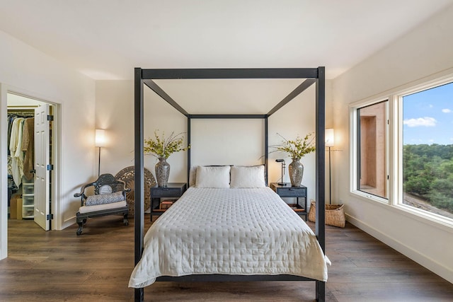 bedroom with dark hardwood / wood-style floors, a walk in closet, and multiple windows