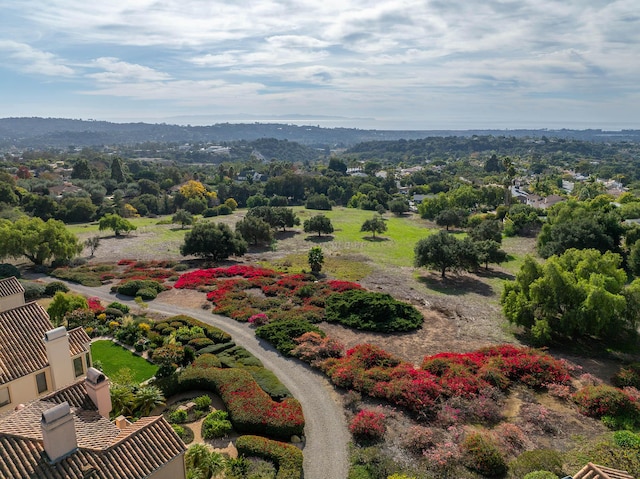 bird's eye view