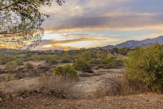 1035 Moreno Dr, Ojai, CA 93023 - photo 9