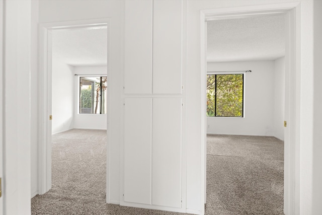 hallway featuring a textured ceiling, light colored carpet, and a wealth of natural light