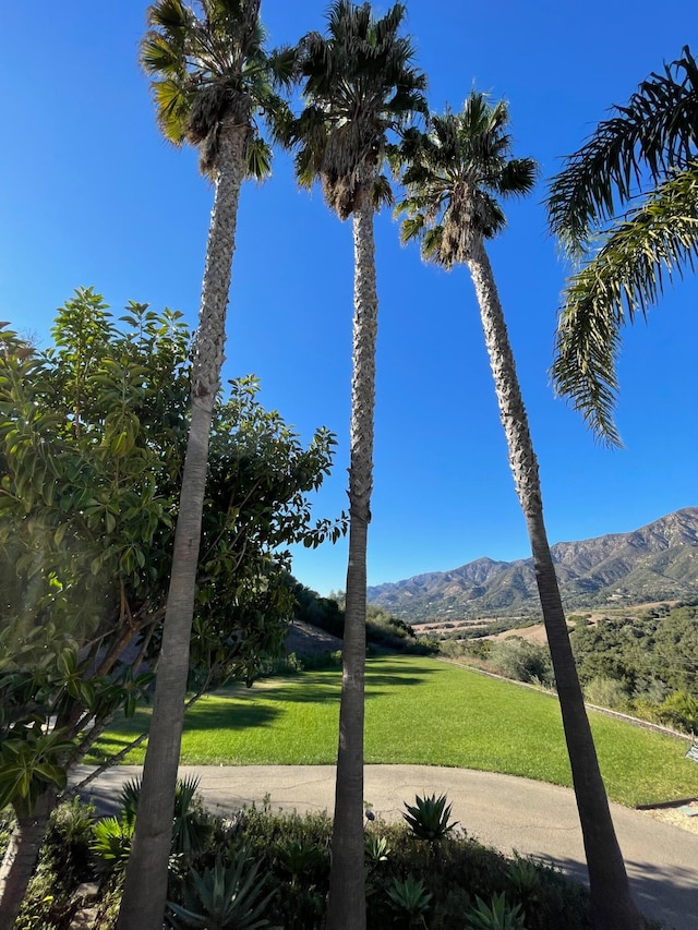 property view of mountains