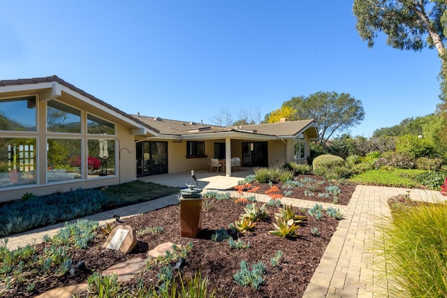 rear view of house featuring a patio and stucco siding