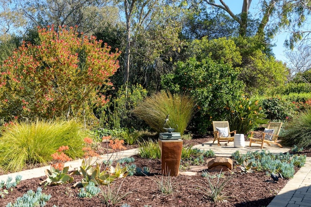 view of yard featuring a patio area