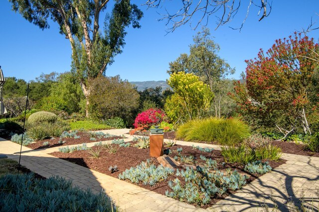 view of yard featuring a mountain view