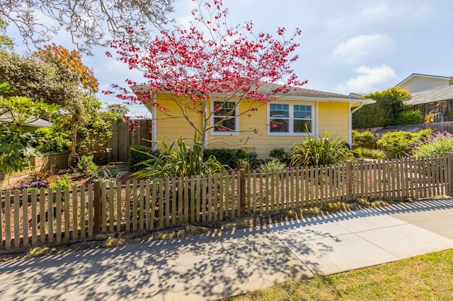 view of front of property featuring fence private yard