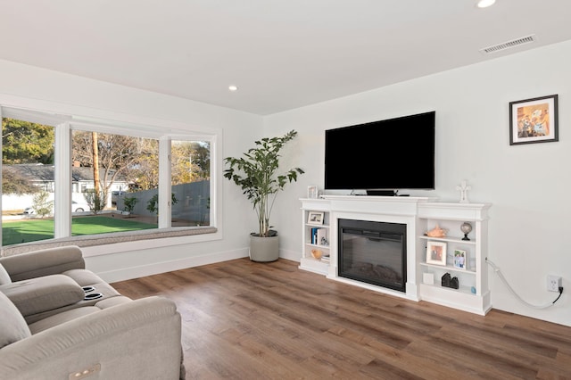 living room featuring wood-type flooring