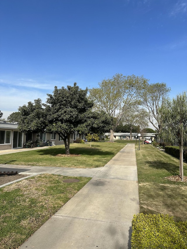 view of property's community with a yard