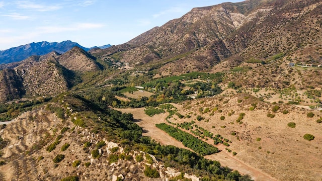 view of mountain feature