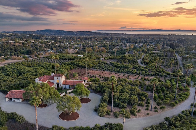 view of aerial view at dusk